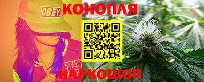 прущие грибы Ярославль
