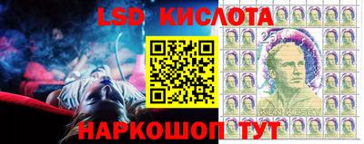 прущие грибы Ярославль