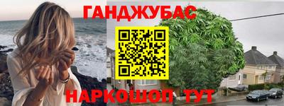 прущие грибы Ярославль