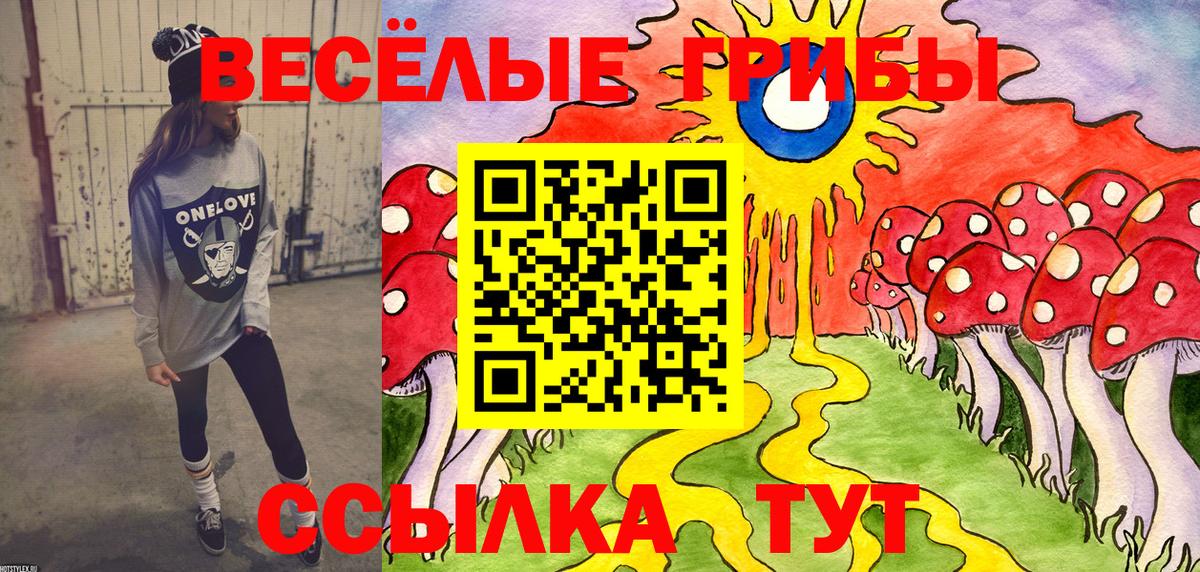 Псилоцибиновые грибы мицелий Елабуга